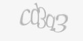 Захисний код